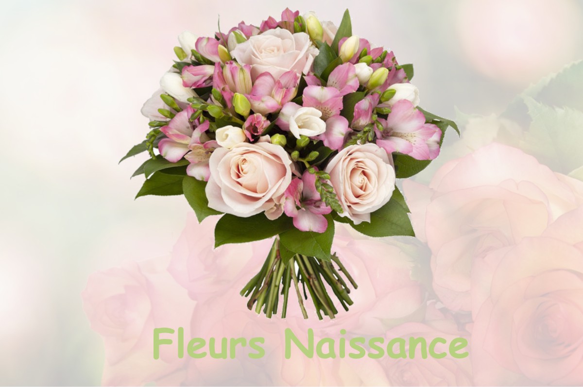 fleurs naissance PLAN-D-ORGON