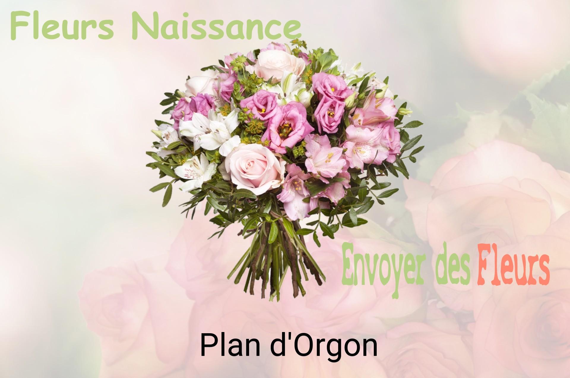 Bouquet de fleurs de naissance livré à Plan-d'Orgon