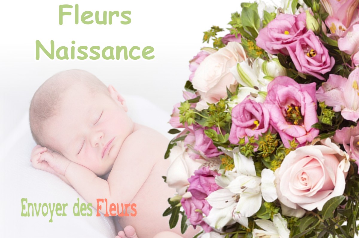 lIVRAISON FLEURS NAISSANCE à PLAN-D-ORGON