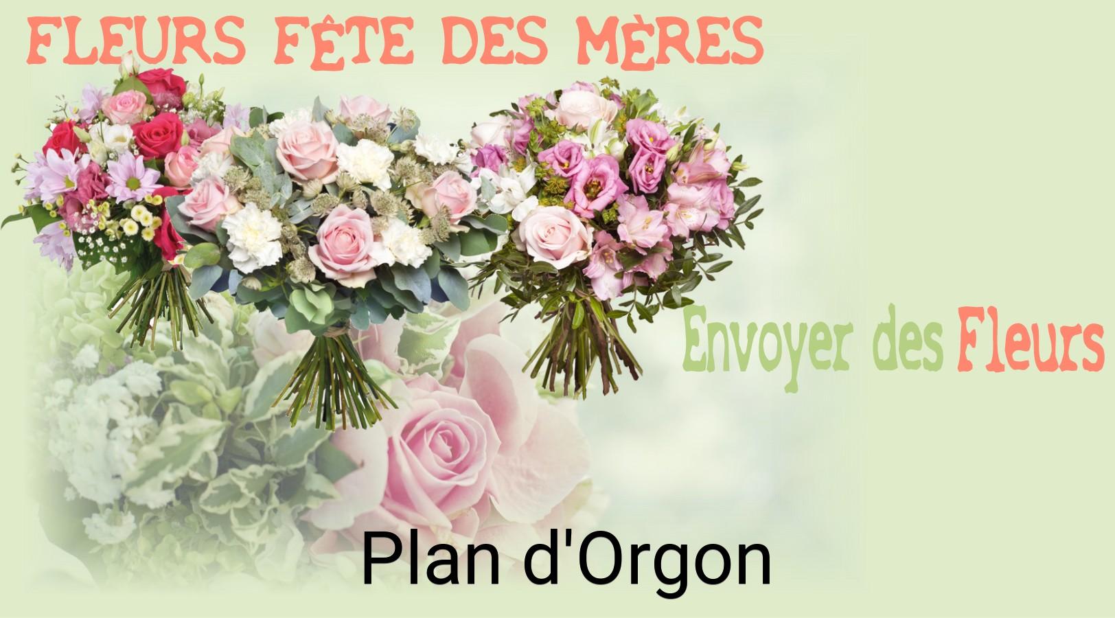 Bouquet de Fête des Mères livré à Plan-d'Orgon
